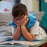 Dauphin lesté - Manimo