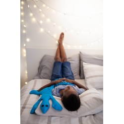 Tortue lestée 2 en 1 - Manimo