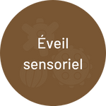 Éveil sensoriel