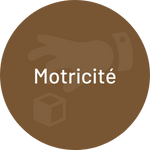 Motricité